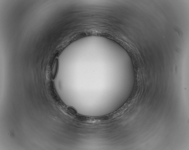 X0000111160760200906301058