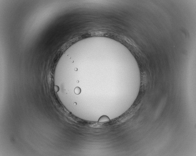 X0000111160761200906301058