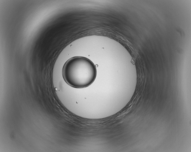 X0000111160762200906301058