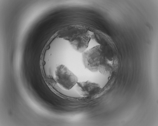 X0000111160765200906301058