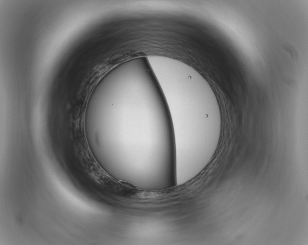 X0000111160766200906301058