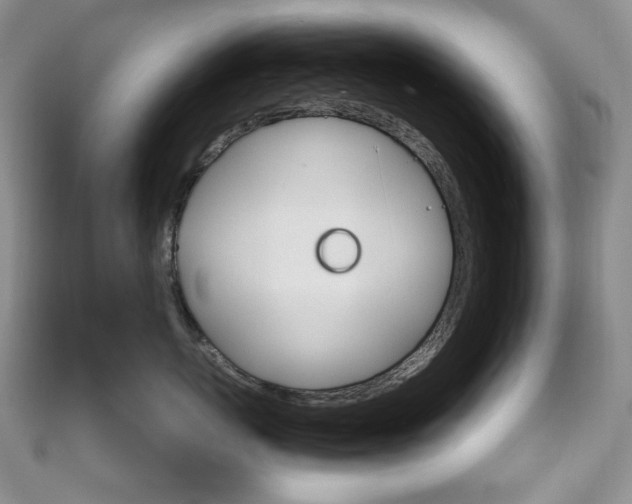 X0000111160767200906301058