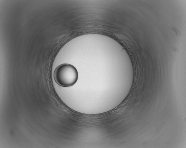 X0000111160768200906301058