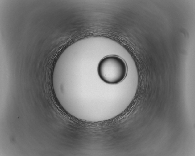 X0000111160769200906301057
