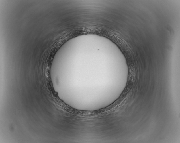 X0000111160770200906301057