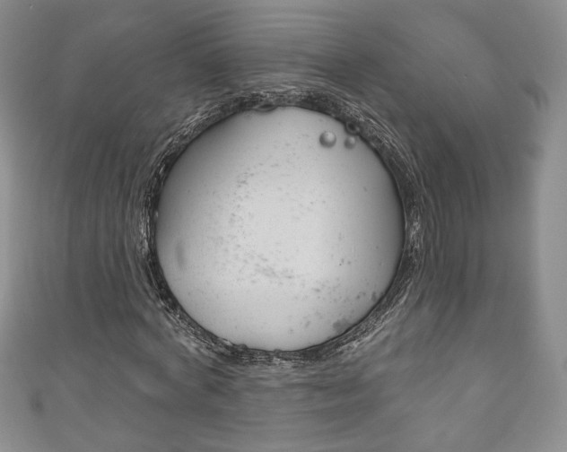 X0000111160772200906301057