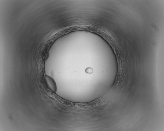 X0000111160773200906301057