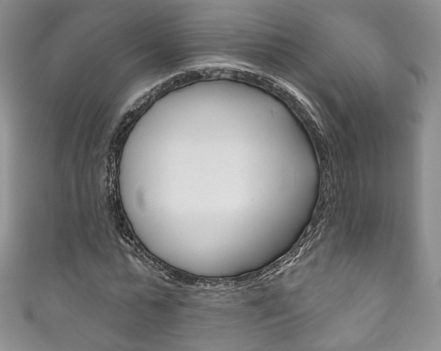 X0000111160775200906301057