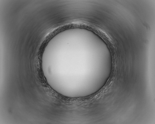 X0000111160776200906301057