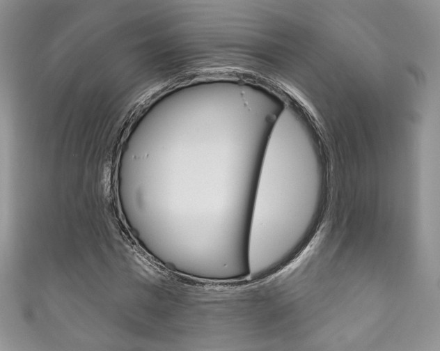 X0000111160777200906301057