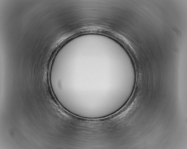 X0000111160778200906301057