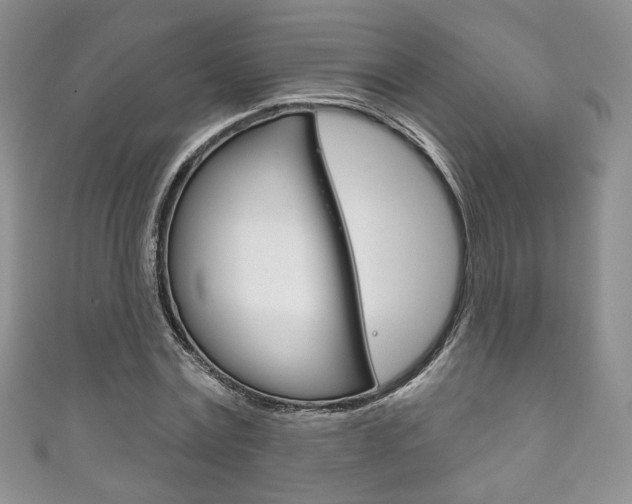 X0000111160779200906301057