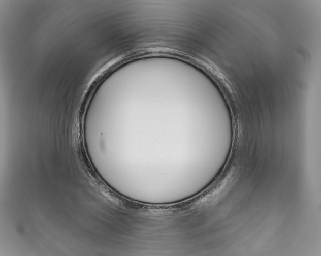 X0000111160782200906301057