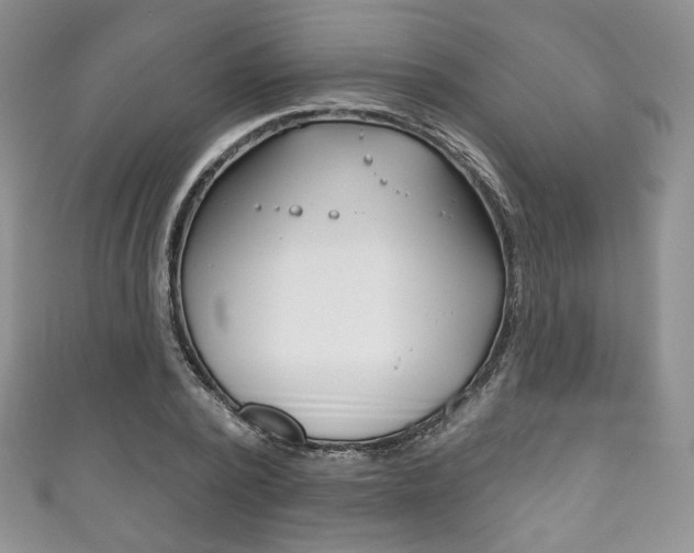 X0000111160784200906301057