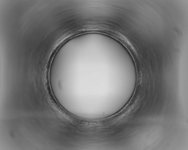 X0000111160786200906301057