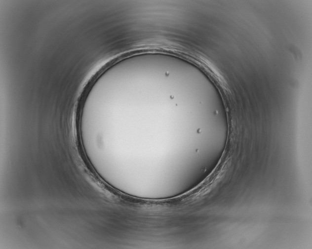 X0000111160788200906301057