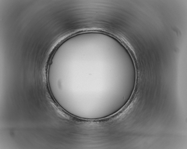 X0000111160789200906301057
