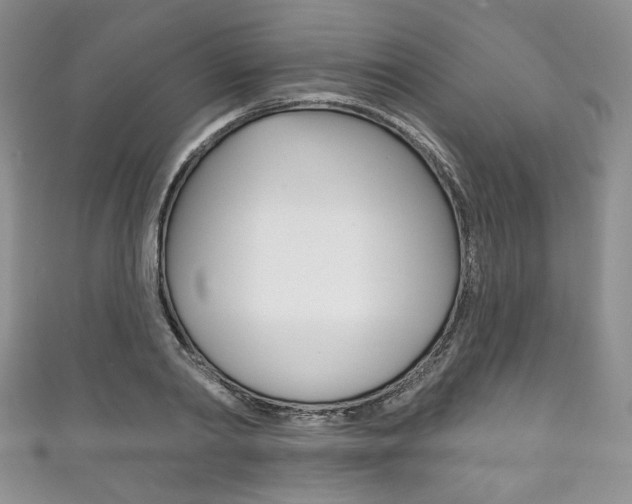 X0000111160790200906301057