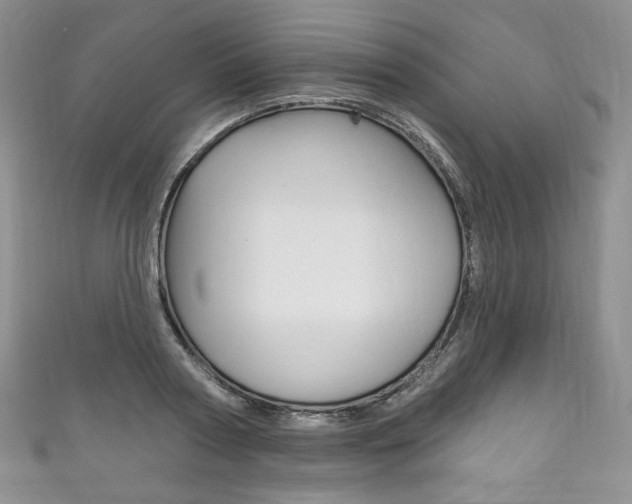 X0000111160794200906301057