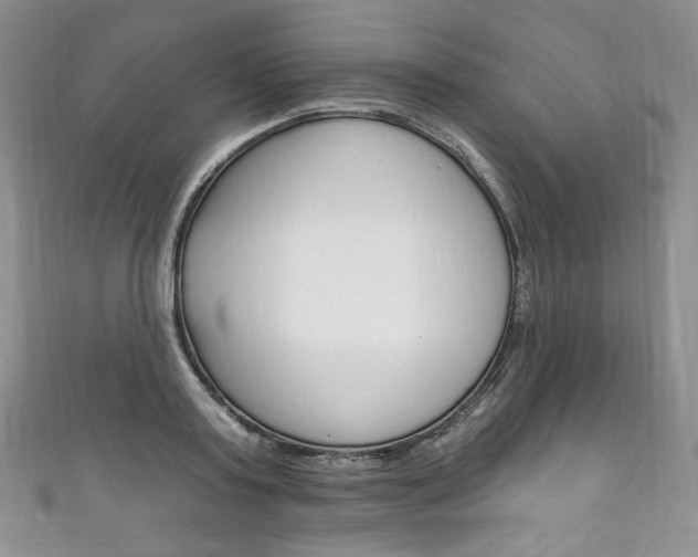 X0000111160795200906301057