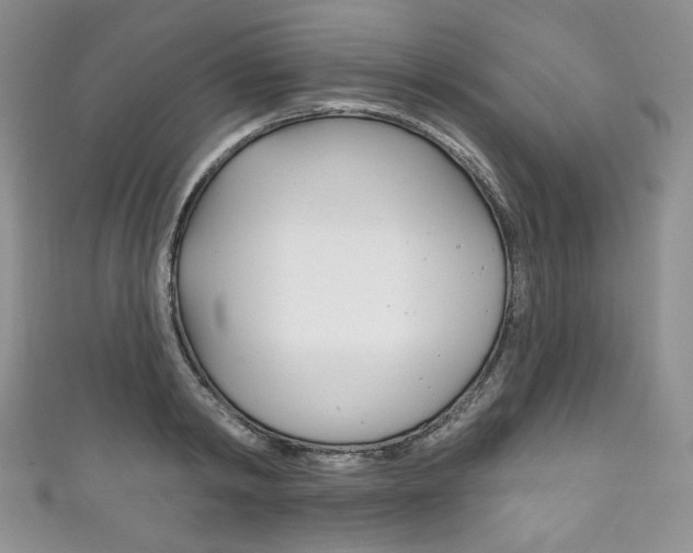 X0000111160798200906301057