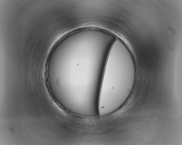X0000111160799200906301057