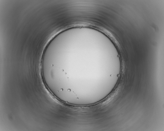 X0000111160802200906301057