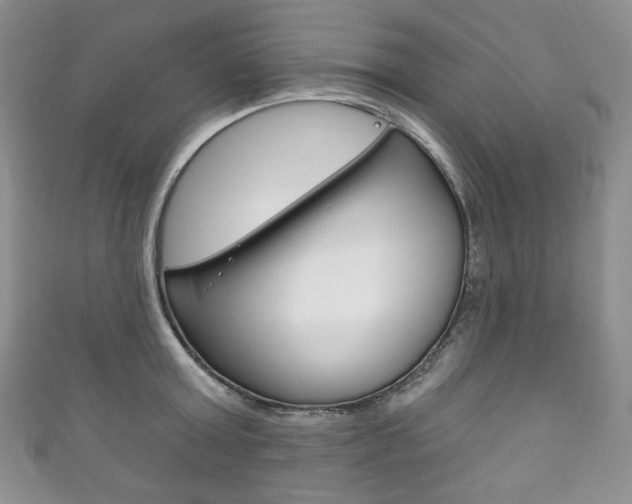 X0000111160803200906301057
