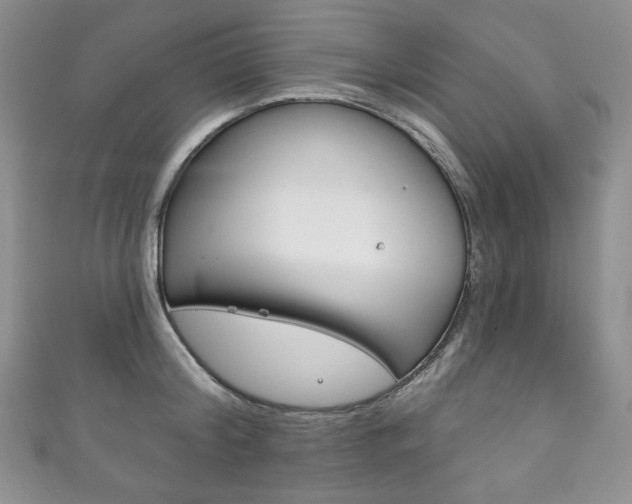 X0000111160804200906301057