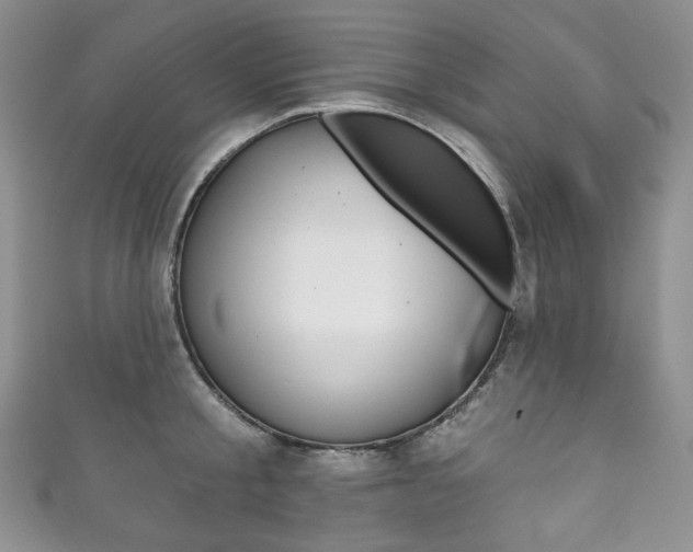 X0000111160805200906301057