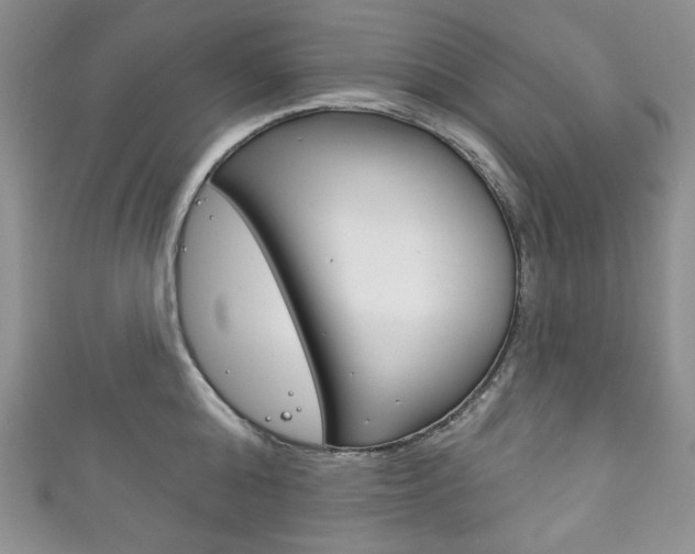 X0000111160808200906301057