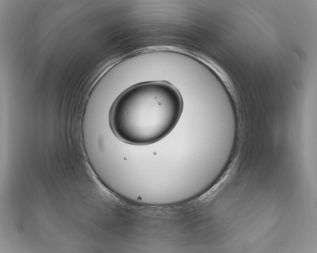 X0000111160809200906301057