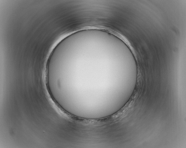 X0000111160811200906301057