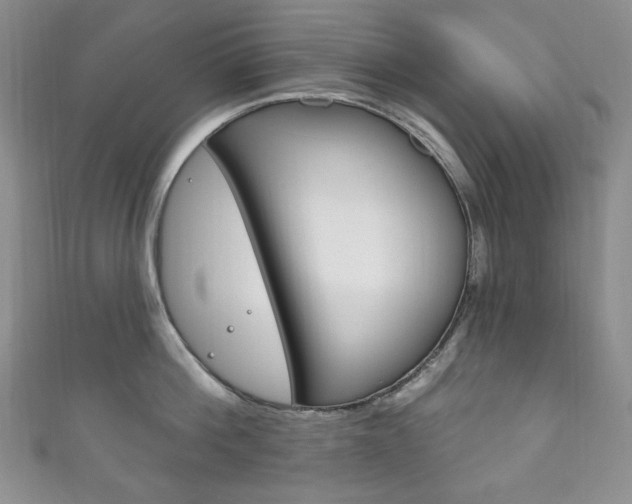 X0000111160812200906301057
