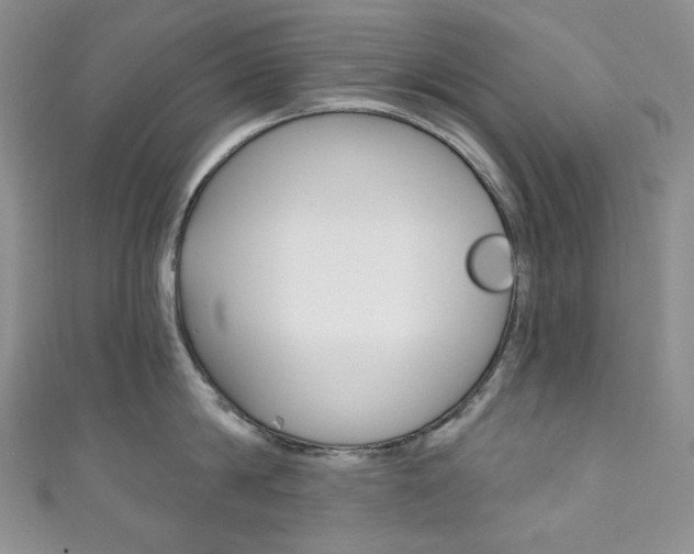 X0000111160814200906301057