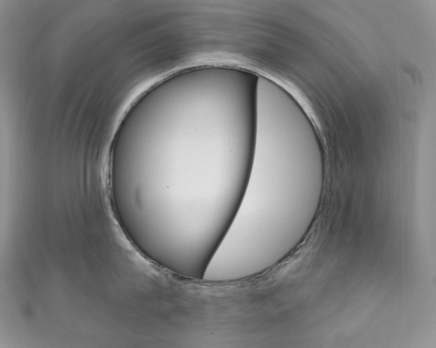 X0000111160815200906301057