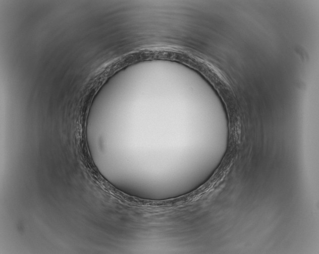 X0000111160821200906301056