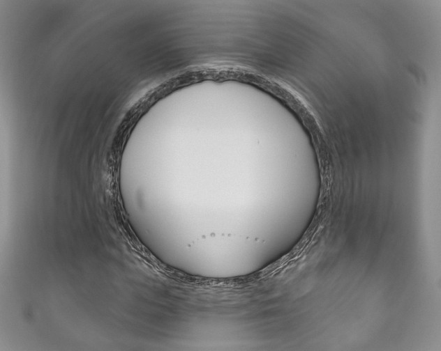 X0000111160823200906301056