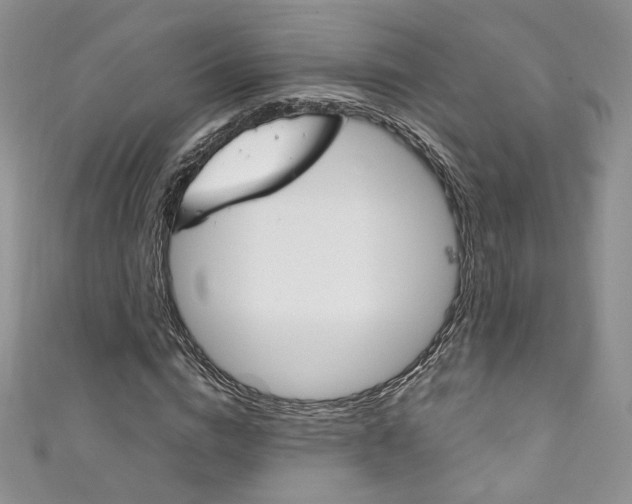 X0000111160824200906301056