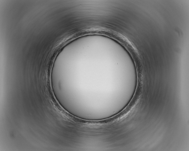 X0000111160825200906301056