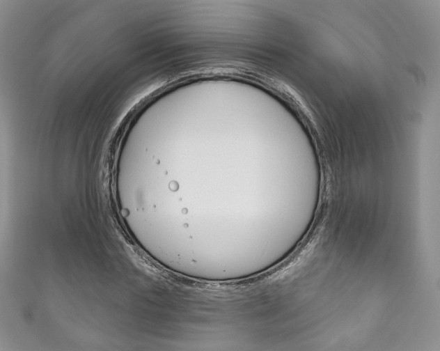 X0000111160827200906301056