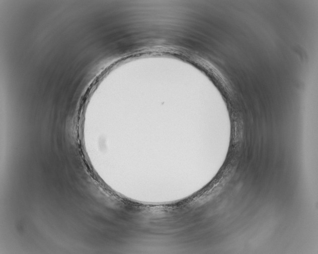 X0000111160828200906301056