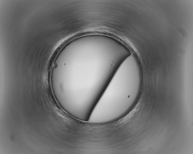 X0000111160830200906301056