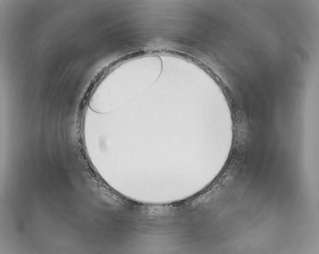 X0000111160832200906301056