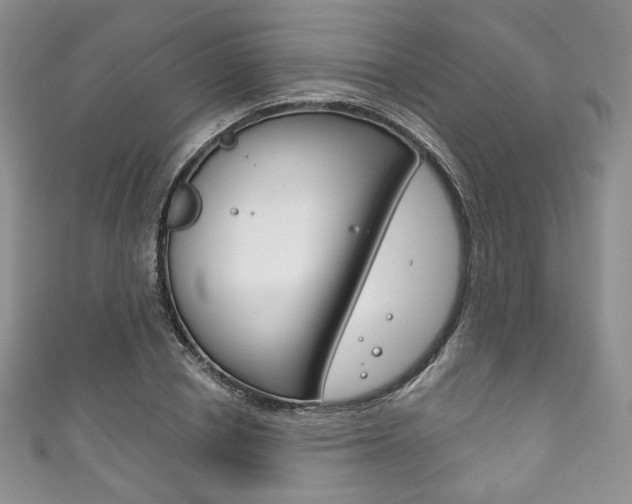 X0000111160834200906301056