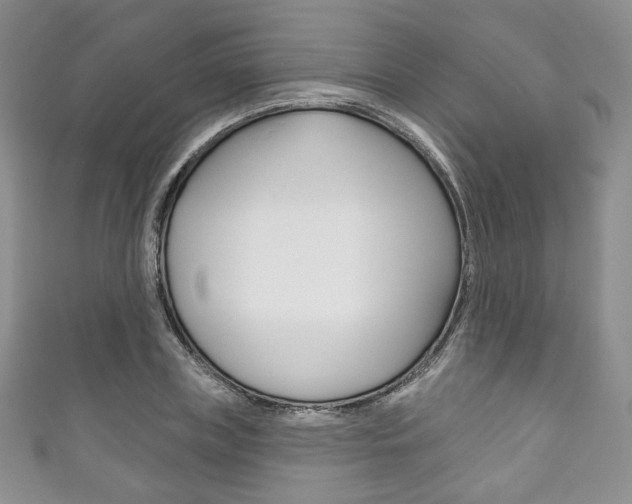 X0000111160835200906301056