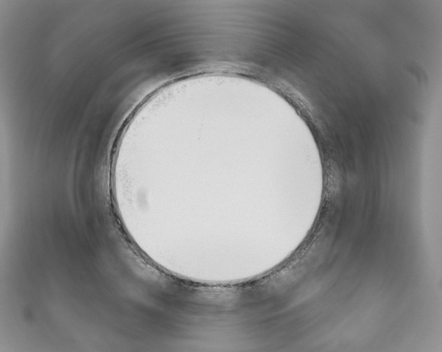 X0000111160836200906301056
