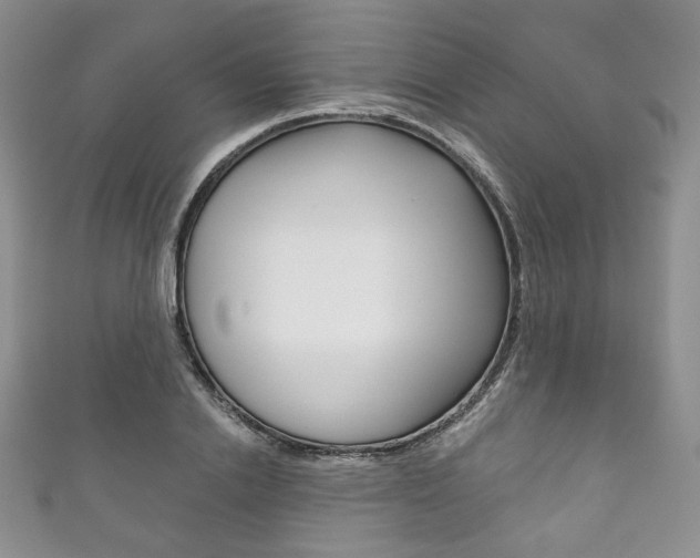 X0000111160838200906301056