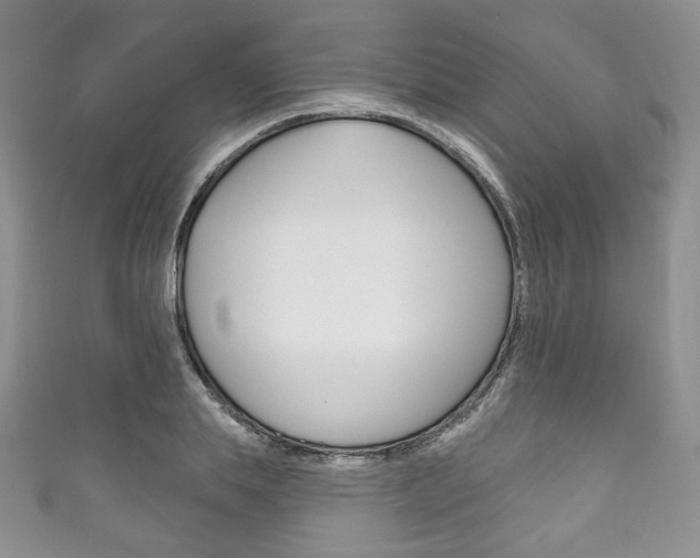 X0000111160839200906301056