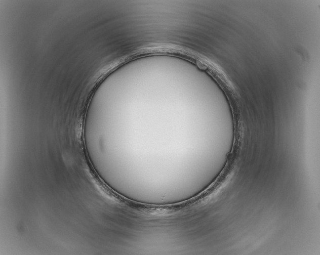 X0000111160841200906301056